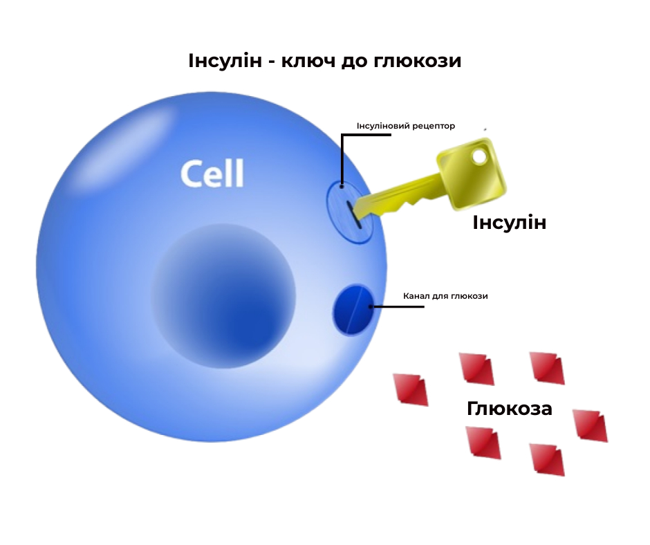 glucose