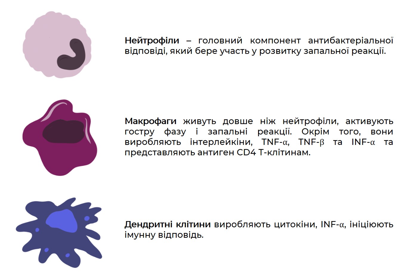 інфекції1