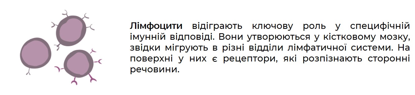 інфекції2