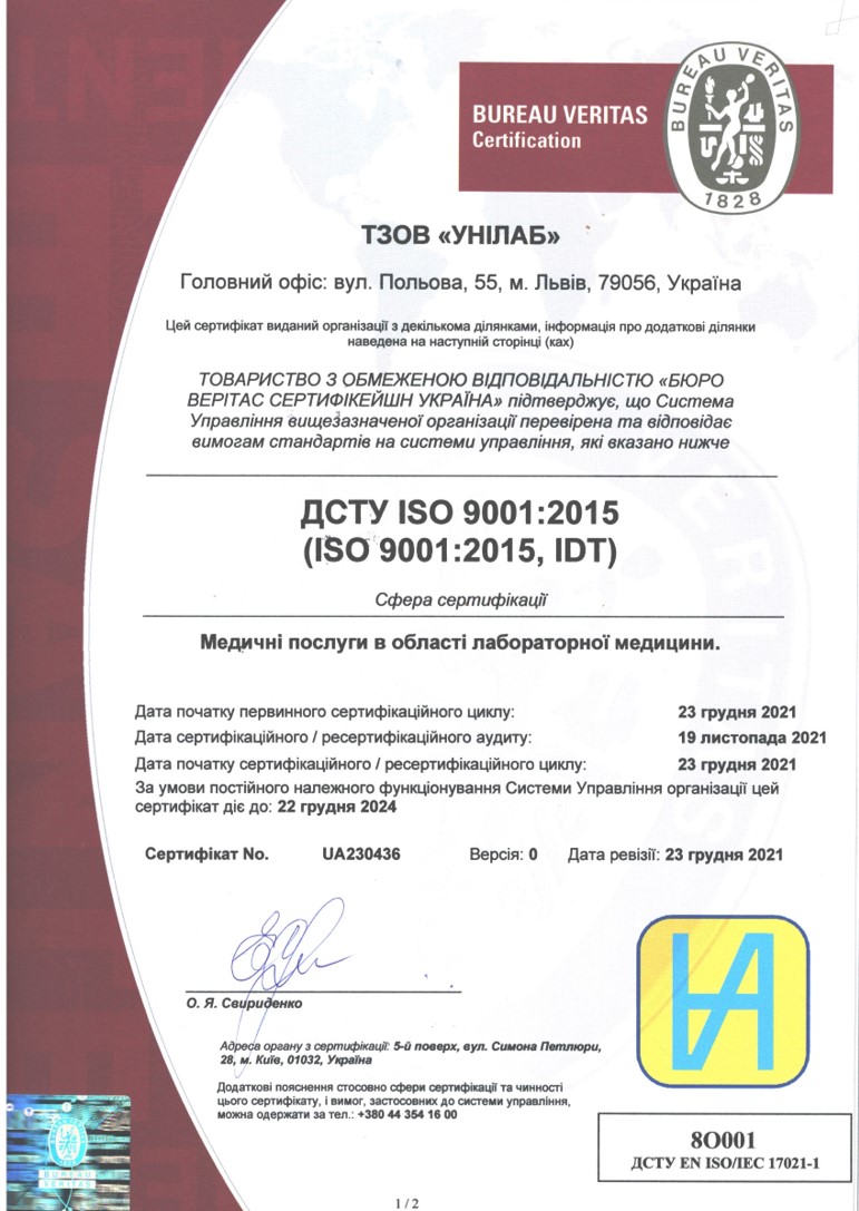 iso9001 1